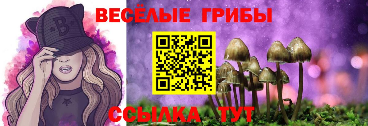 Псилоцибиновые грибы Magic Shrooms Краснокамск